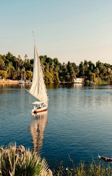 Wings Over The Nile